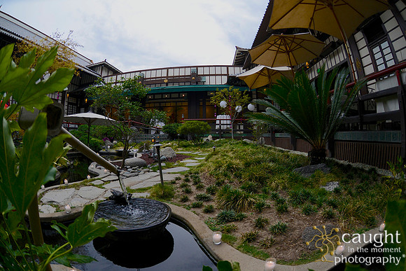 06 Birthday Celebration at Yamashiro Hollywood