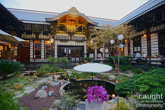 61 Birthday Celebration at Yamashiro Hollywood