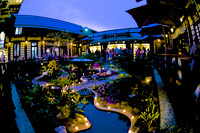 74 Birthday Celebration at Yamashiro Hollywood
