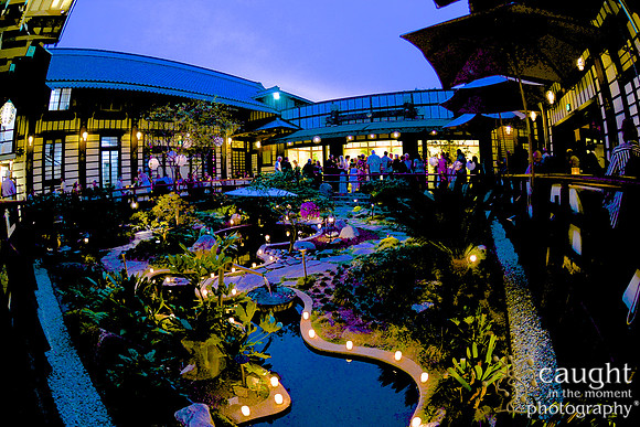 74 Birthday Celebration at Yamashiro Hollywood