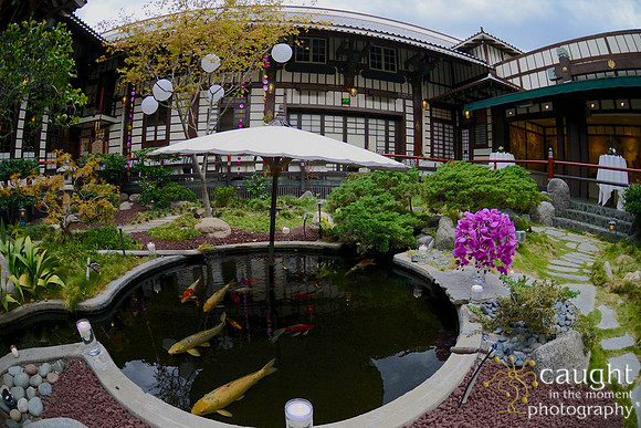 20 Birthday Celebration at Yamashiro Hollywood
