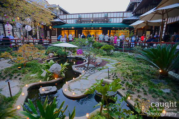 55 Birthday Celebration at Yamashiro Hollywood