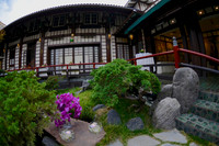 09 Birthday Celebration at Yamashiro Hollywood