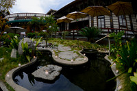 04 Birthday Celebration at Yamashiro Hollywood
