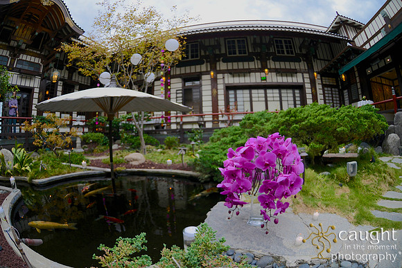22 Birthday Celebration at Yamashiro Hollywood