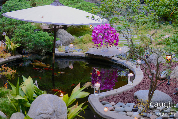 51 Birthday Celebration at Yamashiro Hollywood