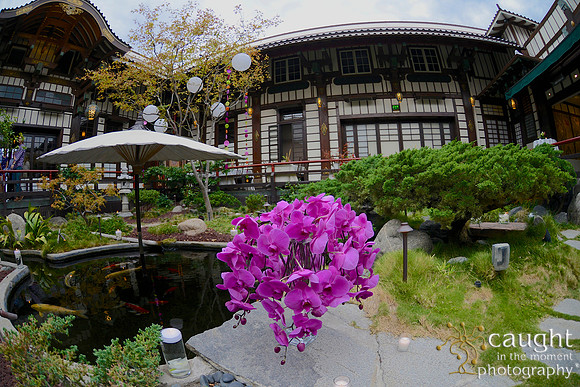 21 Birthday Celebration at Yamashiro Hollywood