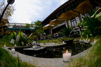 05 Birthday Celebration at Yamashiro Hollywood