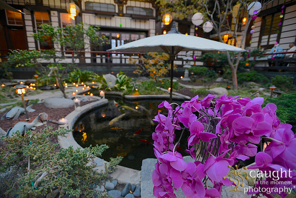 63 Birthday Celebration at Yamashiro Hollywood