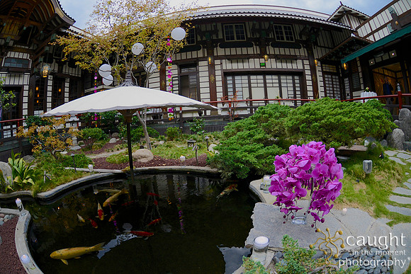 23 Birthday Celebration at Yamashiro Hollywood