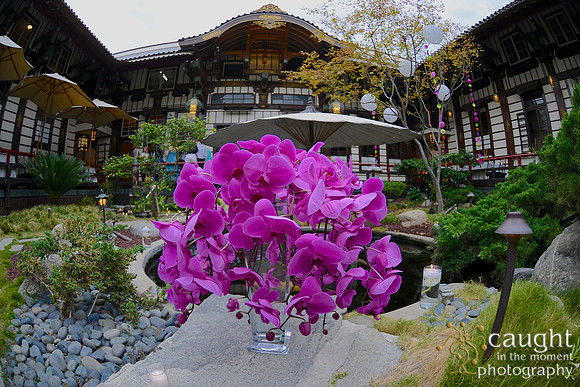 27 Birthday Celebration at Yamashiro Hollywood