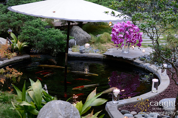 52 Birthday Celebration at Yamashiro Hollywood