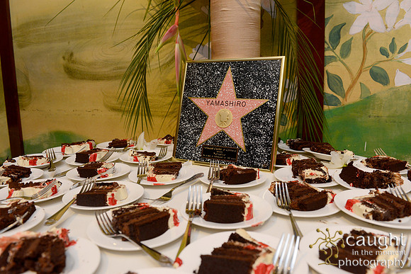 377 Birthday Celebration at Yamashiro Hollywood