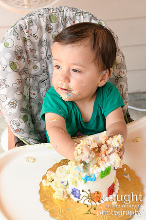081 Samuel Cobb's 1st Birthday
