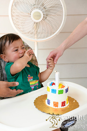 042 Samuel Cobb's 1st Birthday