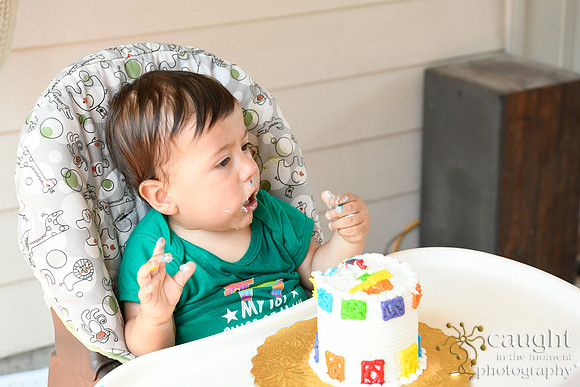 061 Samuel Cobb's 1st Birthday