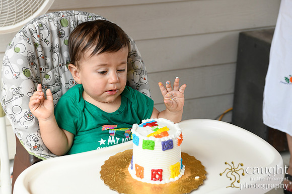 054 Samuel Cobb's 1st Birthday