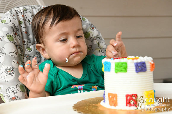 058 Samuel Cobb's 1st Birthday