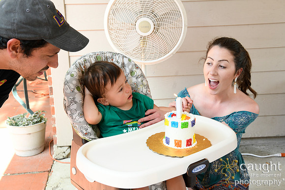 044 Samuel Cobb's 1st Birthday