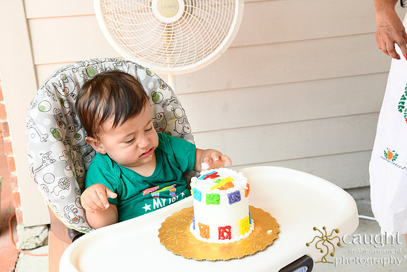 050 Samuel Cobb's 1st Birthday