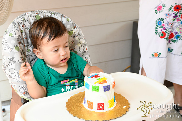 051 Samuel Cobb's 1st Birthday