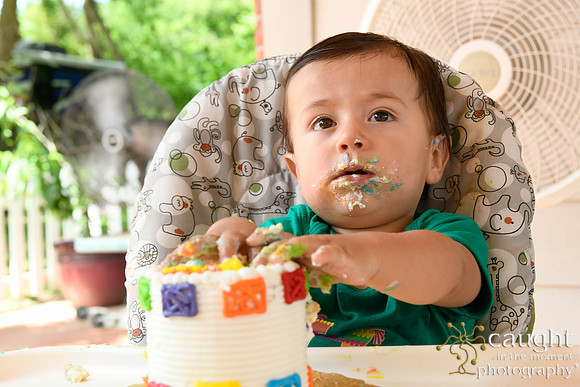 074 Samuel Cobb's 1st Birthday