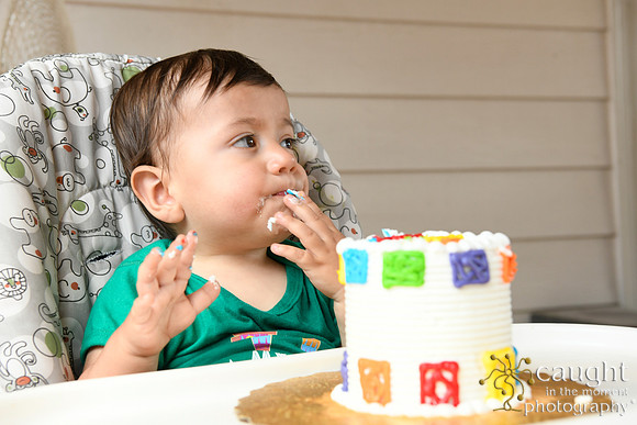 059 Samuel Cobb's 1st Birthday