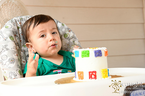 060 Samuel Cobb's 1st Birthday