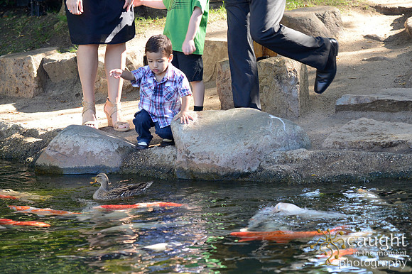 018 Betty's Birthday at Japanese Gardens