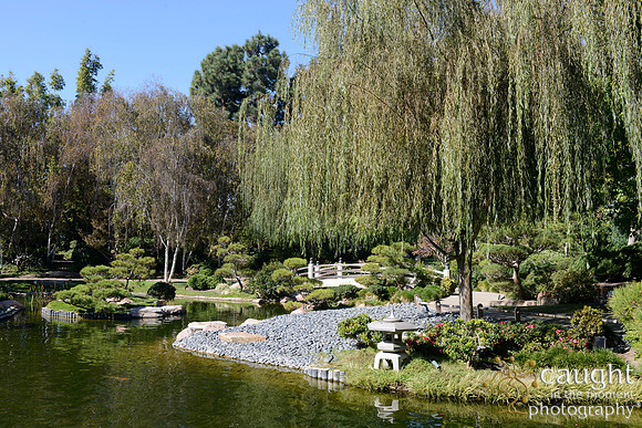 005 Betty's Birthday at Japanese Gardens