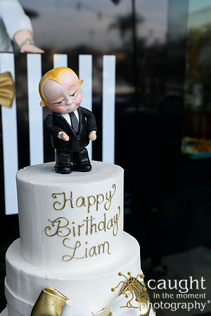015 Liam's 1st Birthday Party