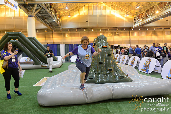 740 NRPA 2017 Exhibit Hall