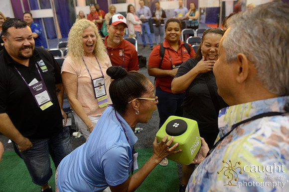 1133 NRPA 2017 Learning Playground