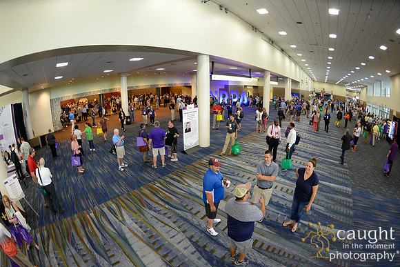 045 NRPA 2017 Signage & Registration
