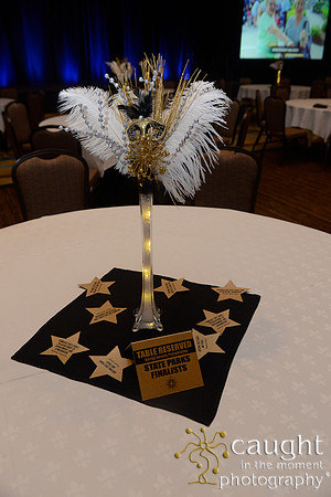 480 NRPA 2017 Gold Medal Awards