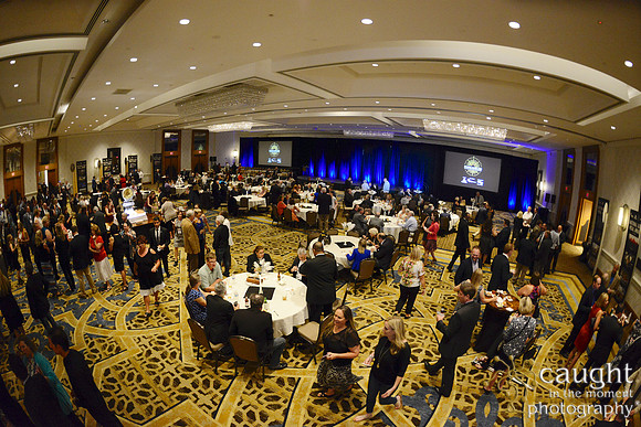 510 NRPA 2017 Gold Medal Awards