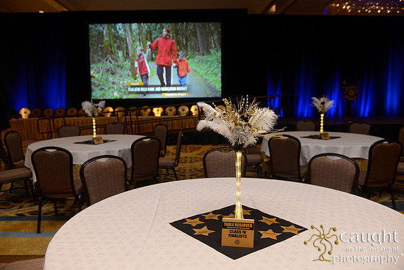 464 NRPA 2017 Gold Medal Awards