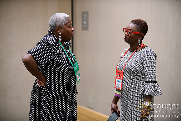 2117 NRPA 2018 Ethnic Minority Society Luncheon