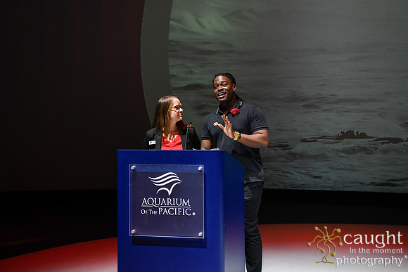 101 High Tide Film Festival 2024