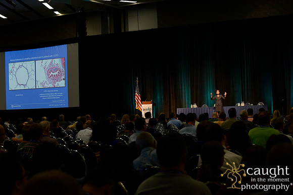 898 OMED 2016-Seminars