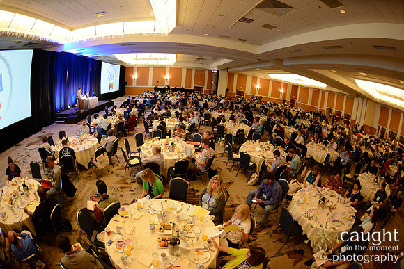 863 OMED 2016-Seminars