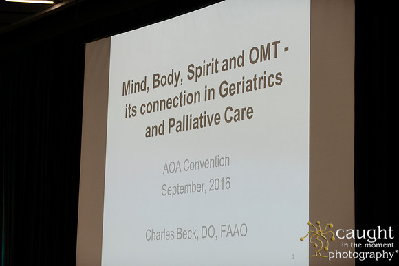 1029 OMED 2016-Seminars