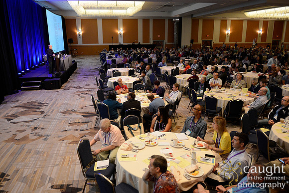 851 OMED 2016-Seminars