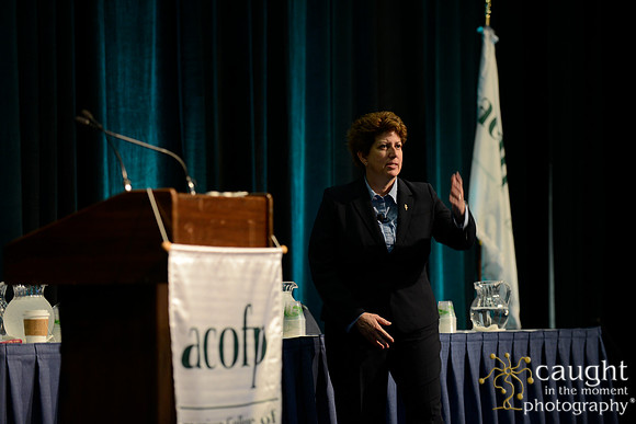 1028 OMED 2016-Seminars