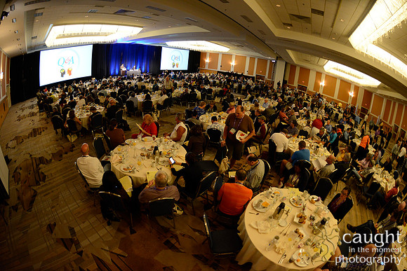 861 OMED 2016-Seminars