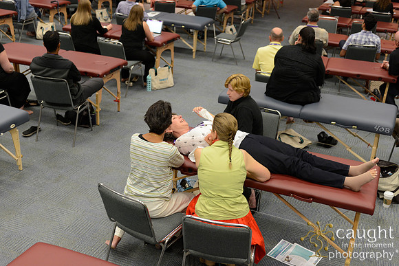 964 OMED 2016-Seminars