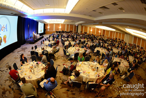 862 OMED 2016-Seminars