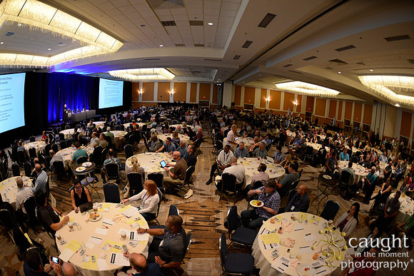 854 OMED 2016-Seminars