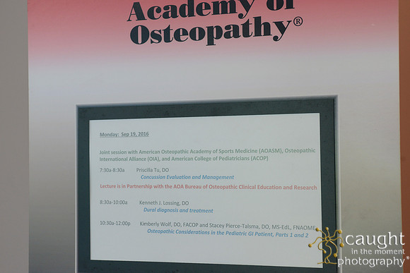 966 OMED 2016-Seminars