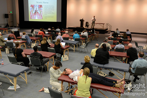 961 OMED 2016-Seminars